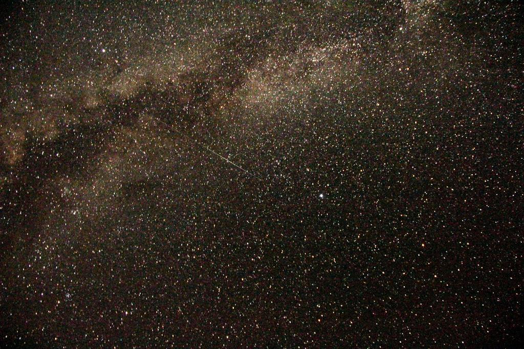 Wadi Rum Sleep Under The Stars Exteriör bild