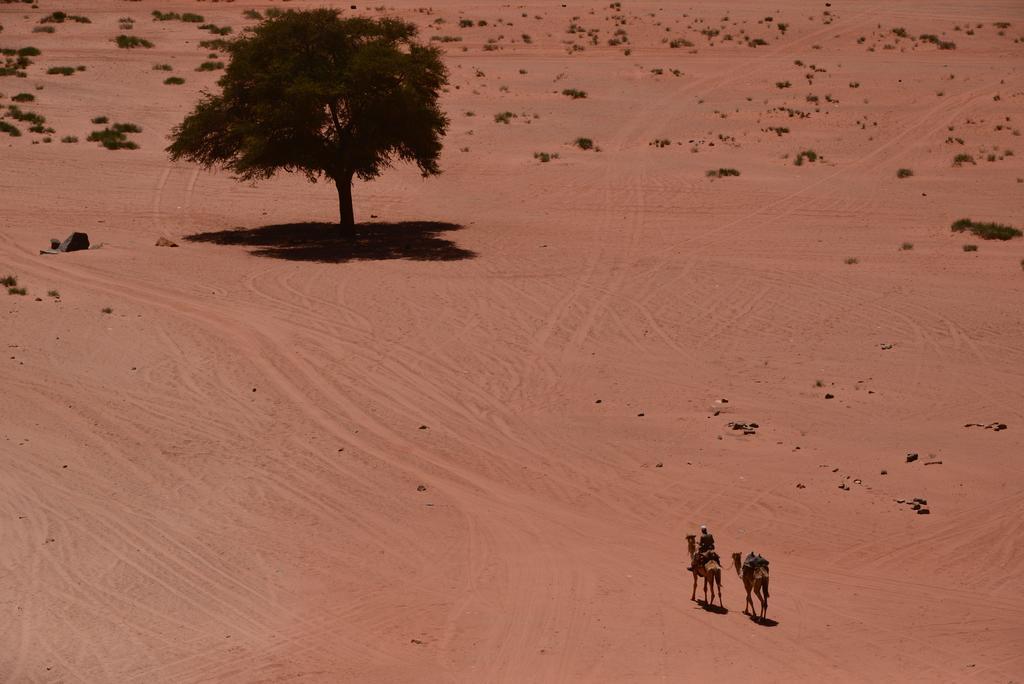 Wadi Rum Sleep Under The Stars Exteriör bild